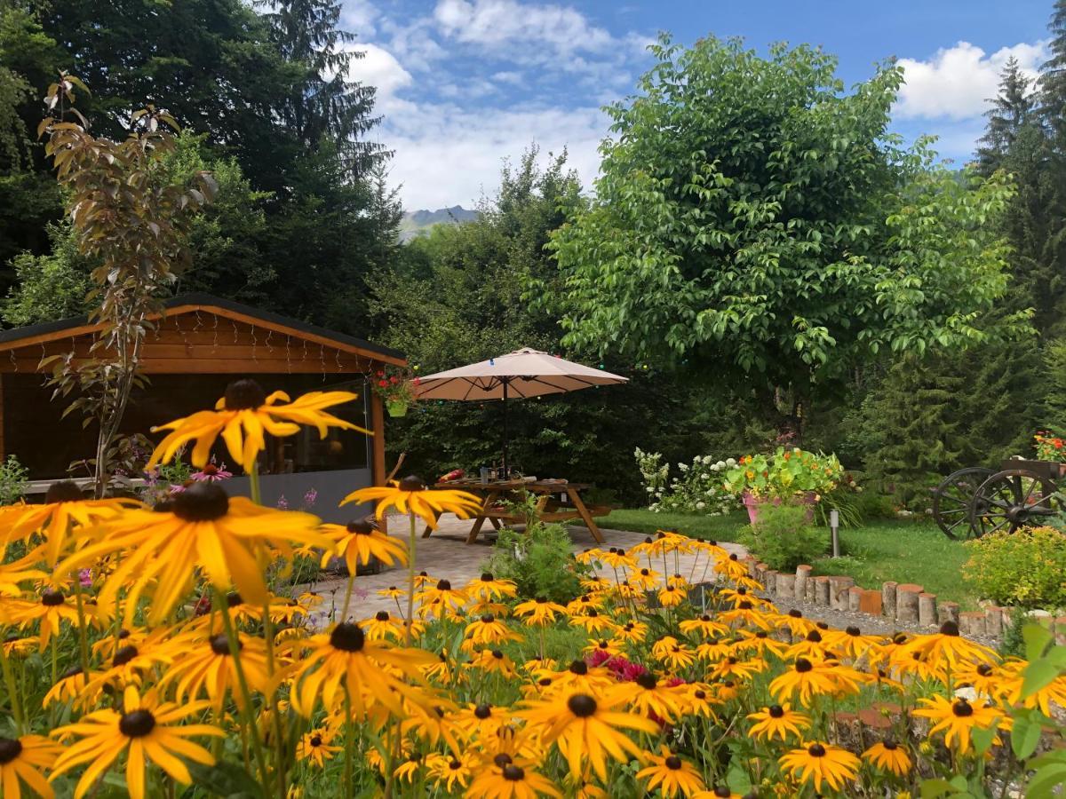 Villa Le Moulin Des Olirics Sallanches Esterno foto