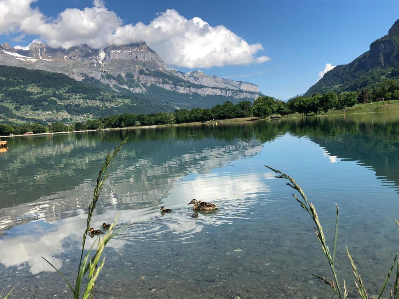 Villa Le Moulin Des Olirics Sallanches Esterno foto