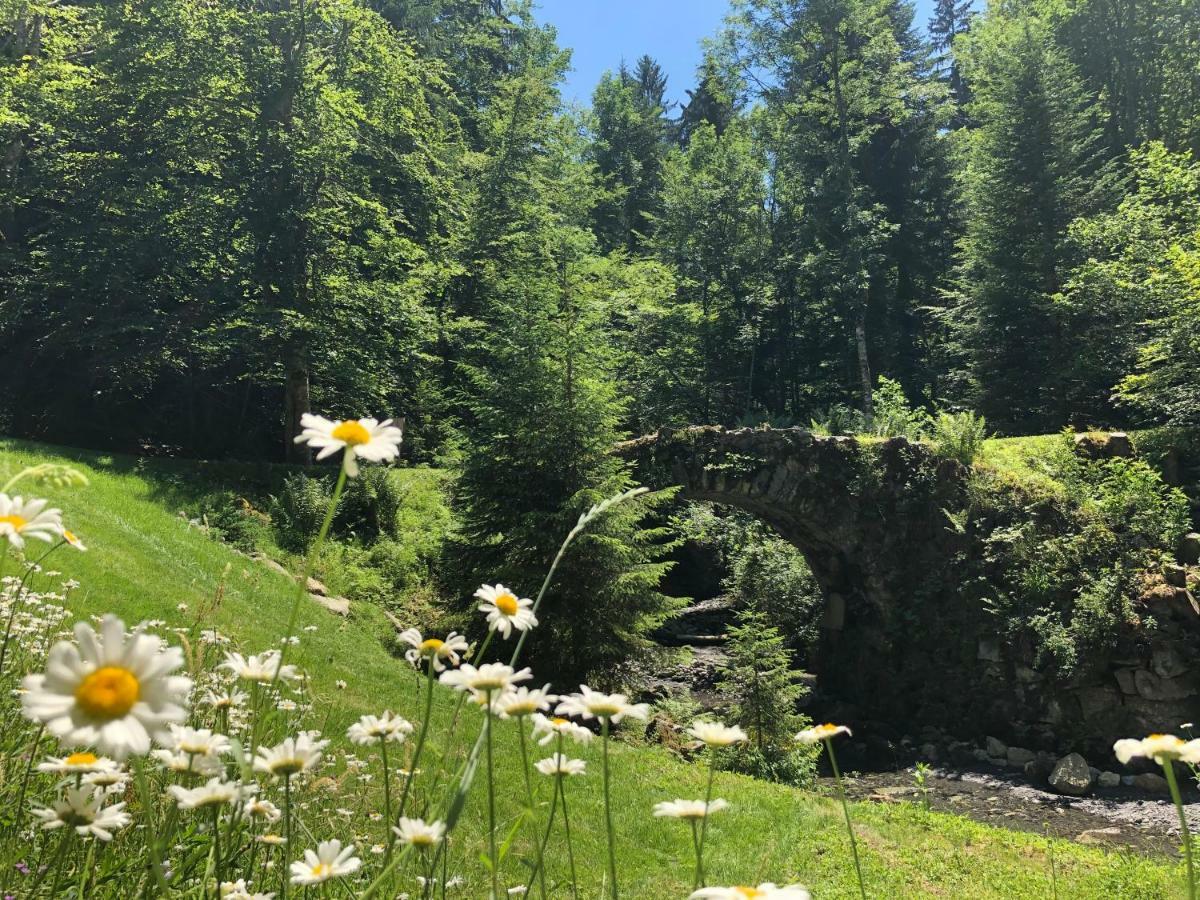 Villa Le Moulin Des Olirics Sallanches Esterno foto
